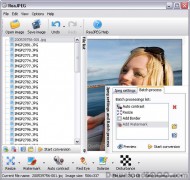 ReaJPEG Standard screenshot